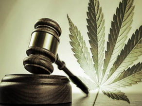 Federal Judge Orders Oral Arguments in Case Challenging Federal Prohibition of Cannabis