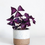 Miniature : Oxalis Triangularis pourpre