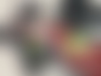 今までの活動を振り返って、、、