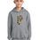 Thumbnail: Mt Pleasant Hoodie