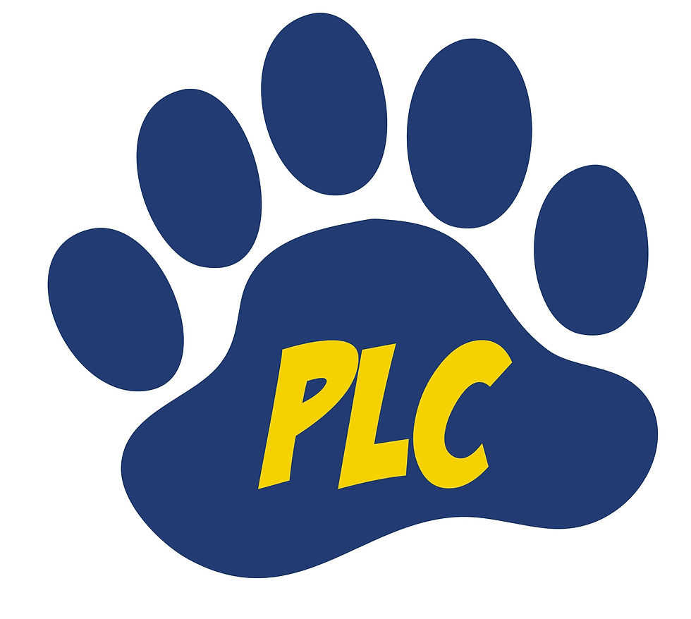 Thumbnail: PLC Staff Ladies Micro Fleece Jacket