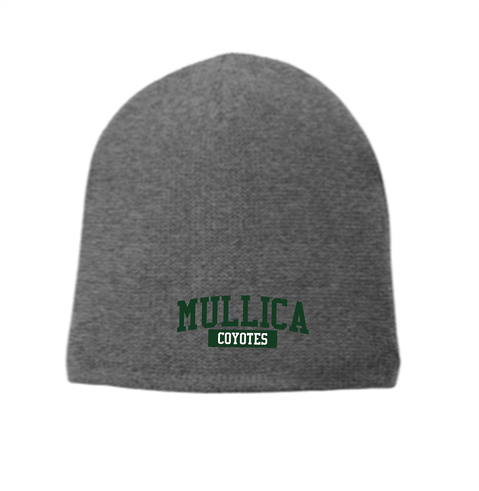 Mullica Fleece Lined Beanie