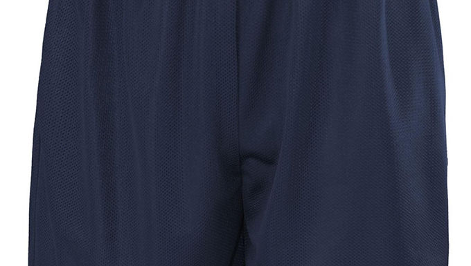 James Madison Primary Shorts