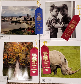 Fair Collection 2.jpg