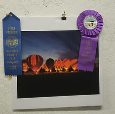 FAIR Best of Show.jpg