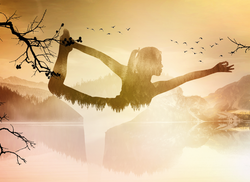 Bildschirmfoto 2019-12-23 um 16.13.04