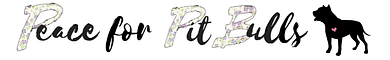 Untitled drawing (1).png