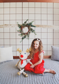 Christmas Mini Photography
