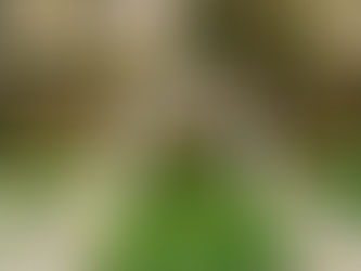 Micro-Weddings in Central Ohio: Real Cost, Guest Count & Decor Guide