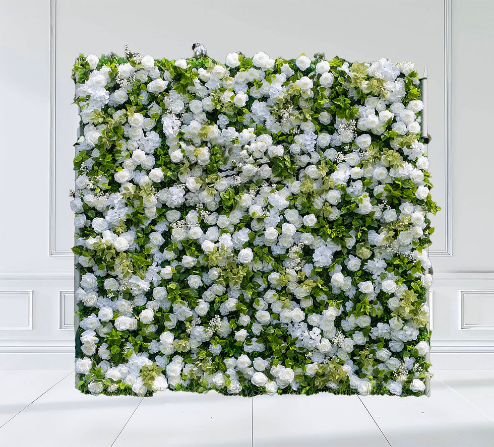 Close-up view of white flowers arranged on a wall with soft natural light