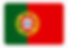 Portugal Flag