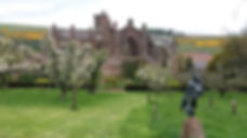 Melrose Abbey from the orchards, photo by Fiona Mackenzie