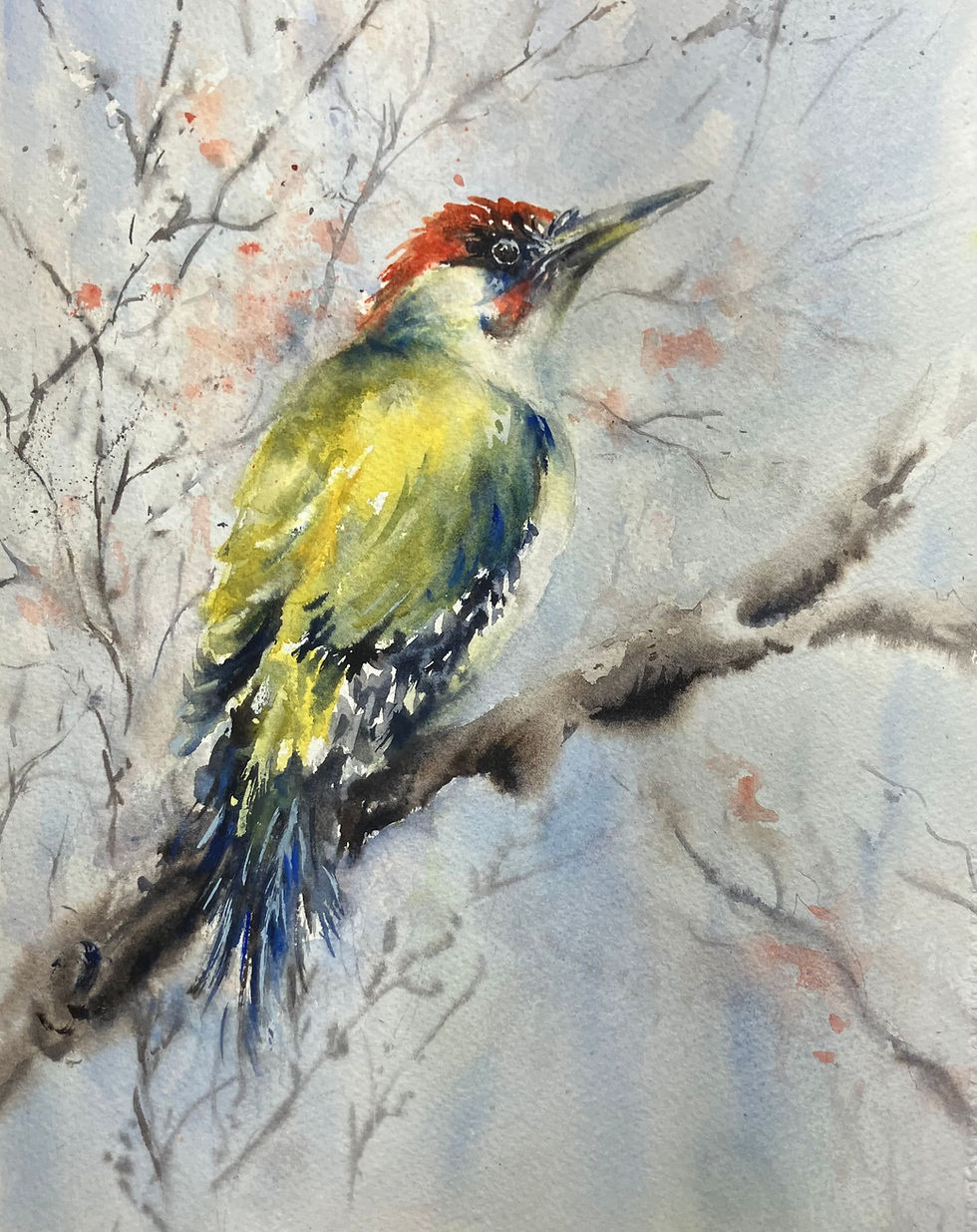 Watercolour Painting: Woodpecker - 1 Day Workshop