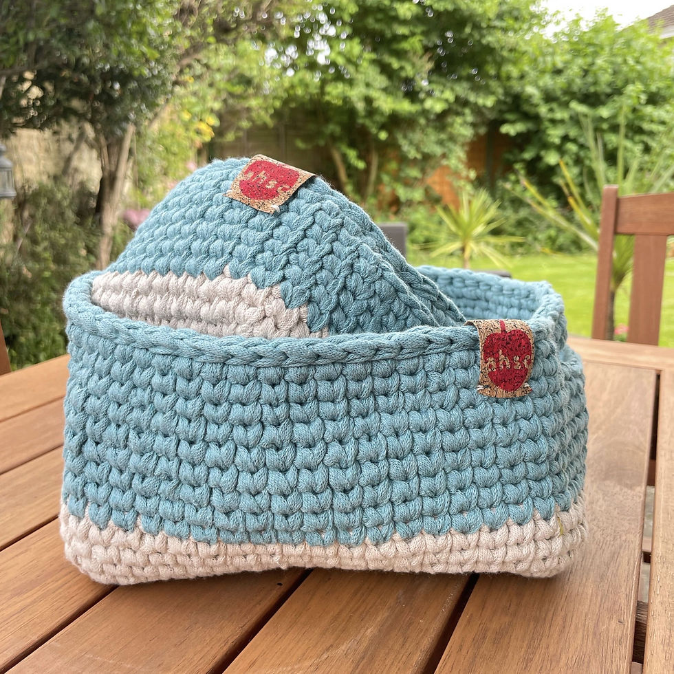 Crochet Basket Workshop - 2 Weeks