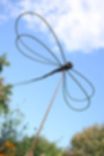Willow Weaving Workshop: Dragonfly Sculpture