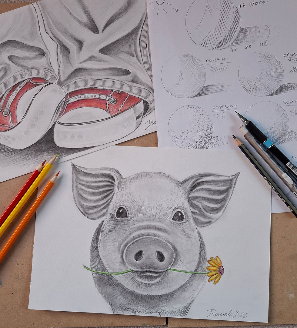 Pencil Drawing course for Adults (Wednesdays) - 5 week course