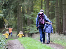 Family walk in the woods