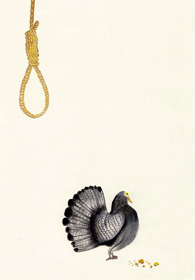 pigeon-corde-pain.jpg