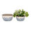 Thumbnail: Lavender Shallow Pot Set