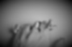 Miniatura: ANILLO 15