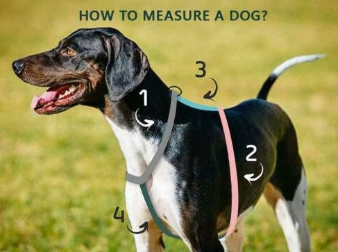 Thumbnail: Unique Luxury Dog Harness  - PSYCHO FOREST
