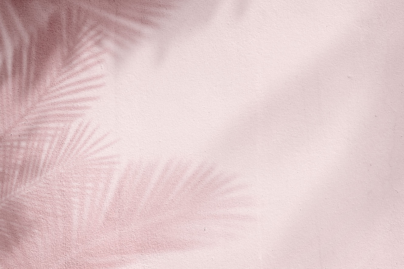 pink-background-with-palm-tree.jpg