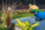 fresh-natural-grass-turfs-installing.jpg