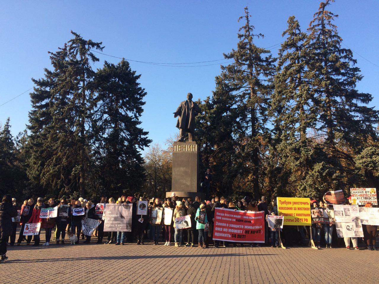 .пикет против хабаровскихjpg (3)