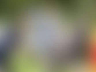 ⭐️新設備(工場内も少しだけ👀)