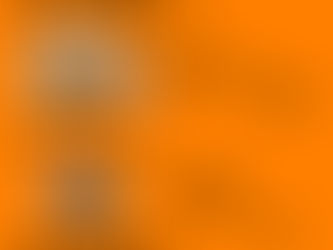 急遽オクトーバーフェスやります!