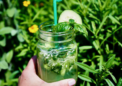 A fresh, vibrant green Basil Cucumber Vodka Gimlet in a coupe glass, garnished with a cucumber ribbon and a sprig of basil.