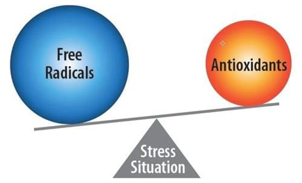 OXIDATIVE STRESS.jpg