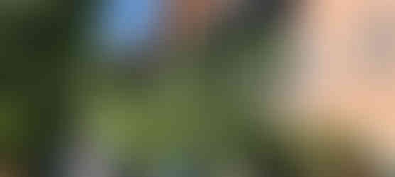 Photo Credit: Mgmeia Ltd