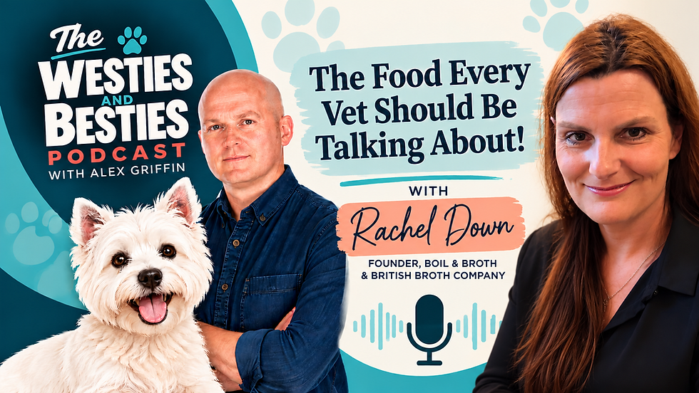 Rachel Down The Food Every Vet Should Know.png