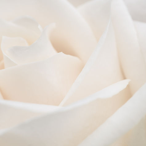 A Spring Reset for Radiant Skin