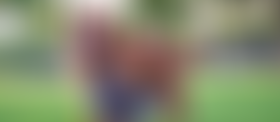 Spring Allergies in Pets: Understanding the Causes and Supporting Their Health