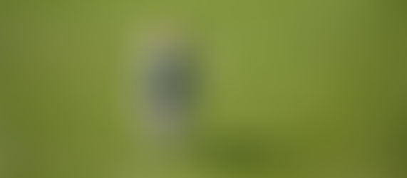 Keeping Your Pet Fit and Healthy: The Importance of Exercise and Play