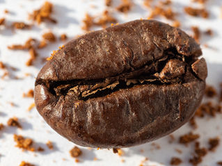 Close-up of a roasted coffee bean on a white surface, with scattered coffee grounds around it.