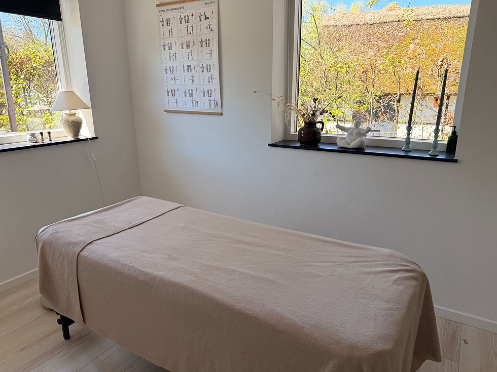 Lyst Body SDS behandlingsrum med briks og udsigt til natur