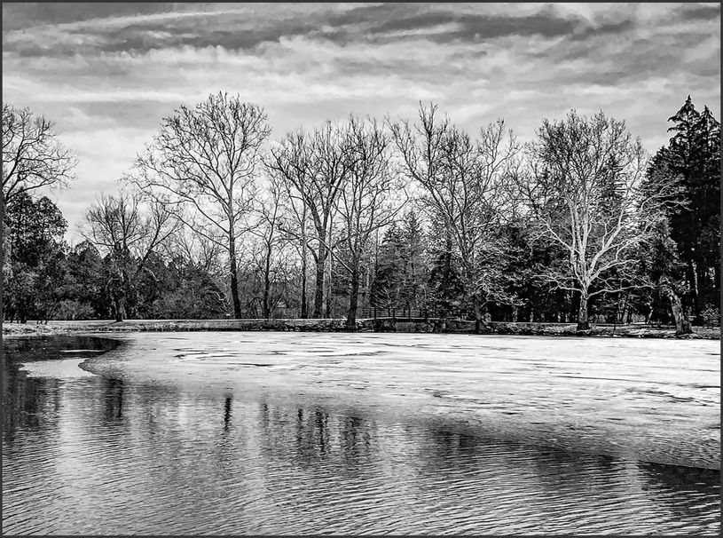 M_Pamela Myers_Seasonal Texture_B_BOS.jpg