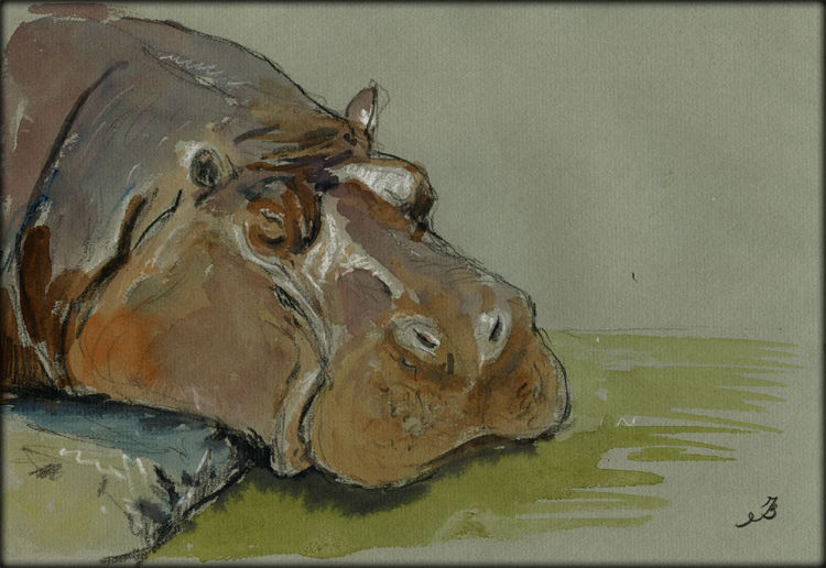 483-Hippo-A-Juan-Bosco.jpg