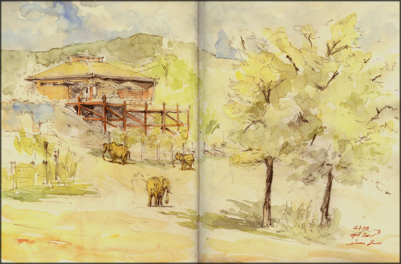 1185-Zoo-A-Juan Bosco.jpg