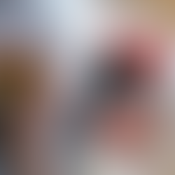 Crônicas para boi nenhum dormir - EDIÇÃO ESPECIAL comemorativa ao Dia do Livro