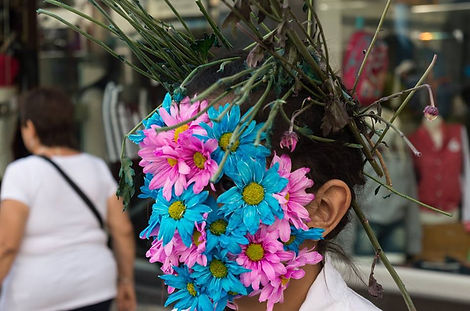 16002811_1085710411539912_74962751980811