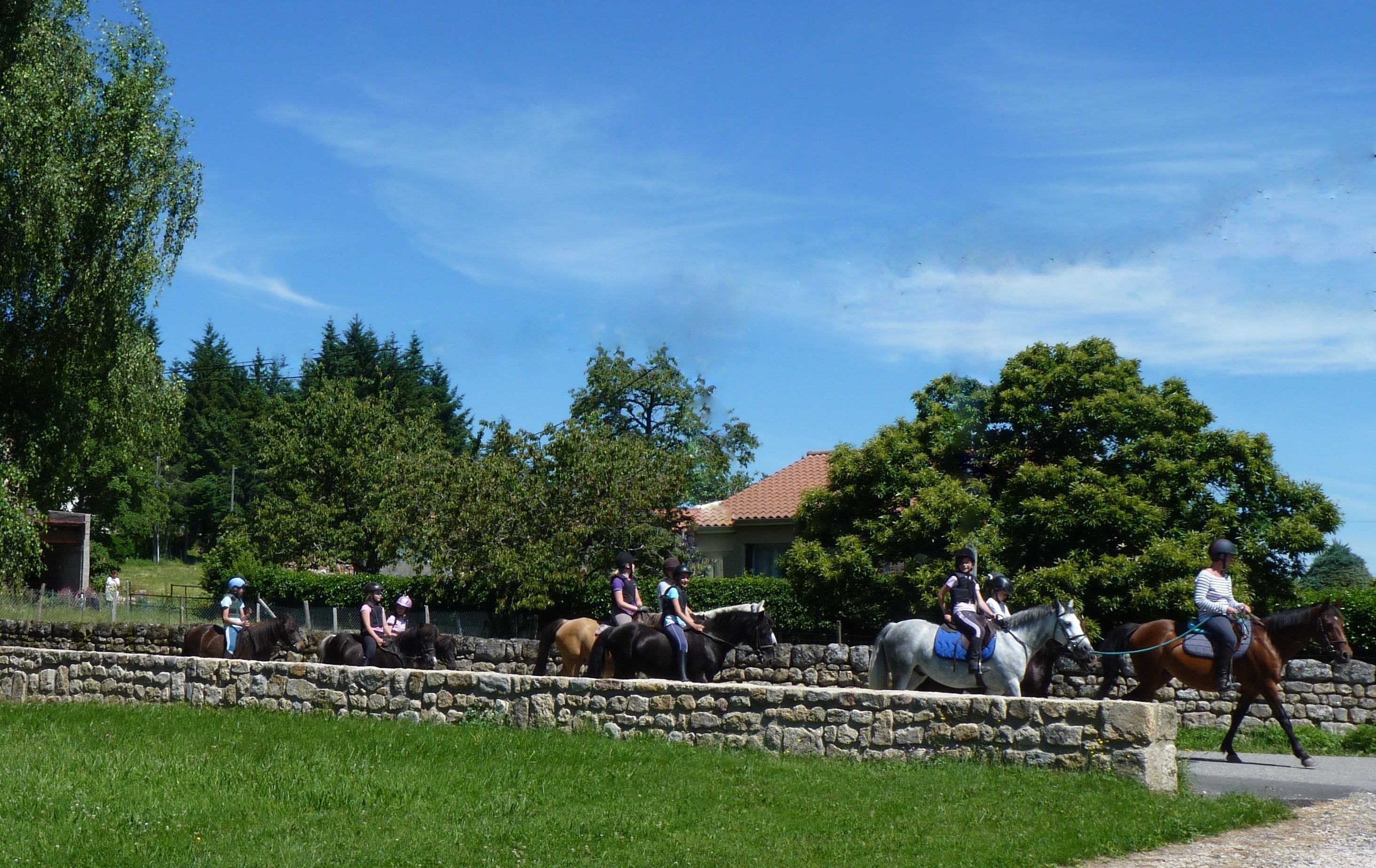 équitation,balades à poneys