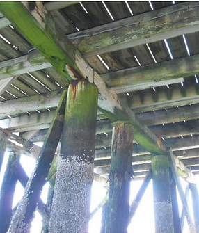 Pilings and caps.png