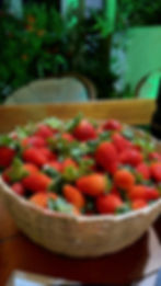 IMG-20260629-WA0065