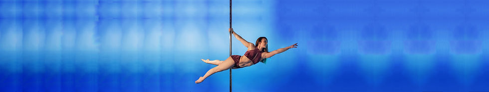 pole99.jpg