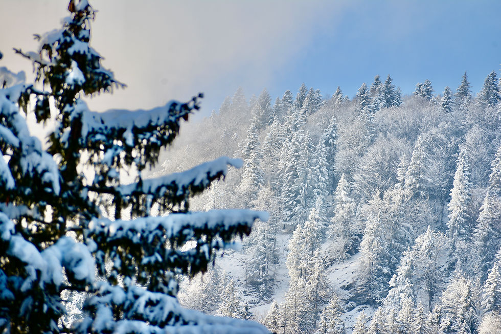 Winterurlaub in Skigebietnähe Tirol