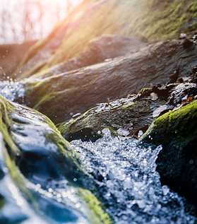 Frische Produkte aus Österreich